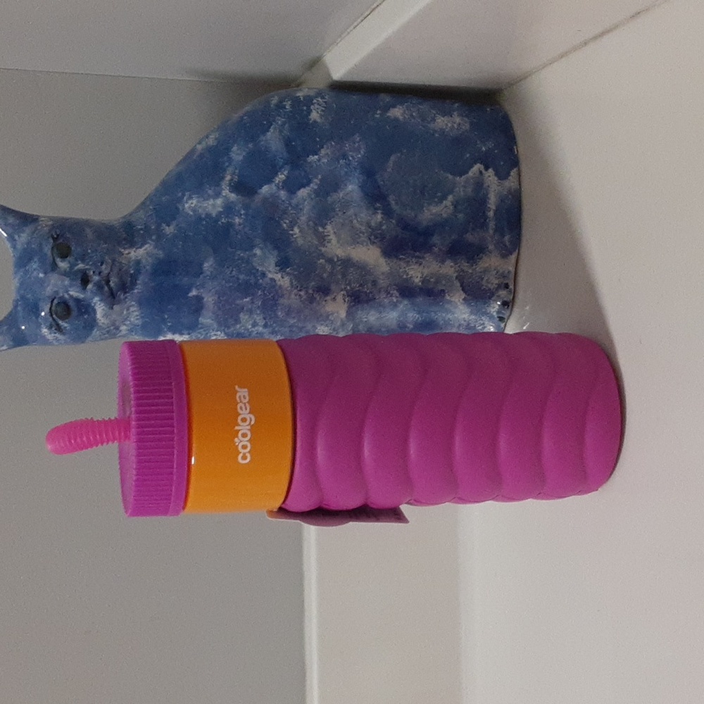 🌹 Coolgear water bottle with removable sleeve.Retro style. Pink and Orange. NWT